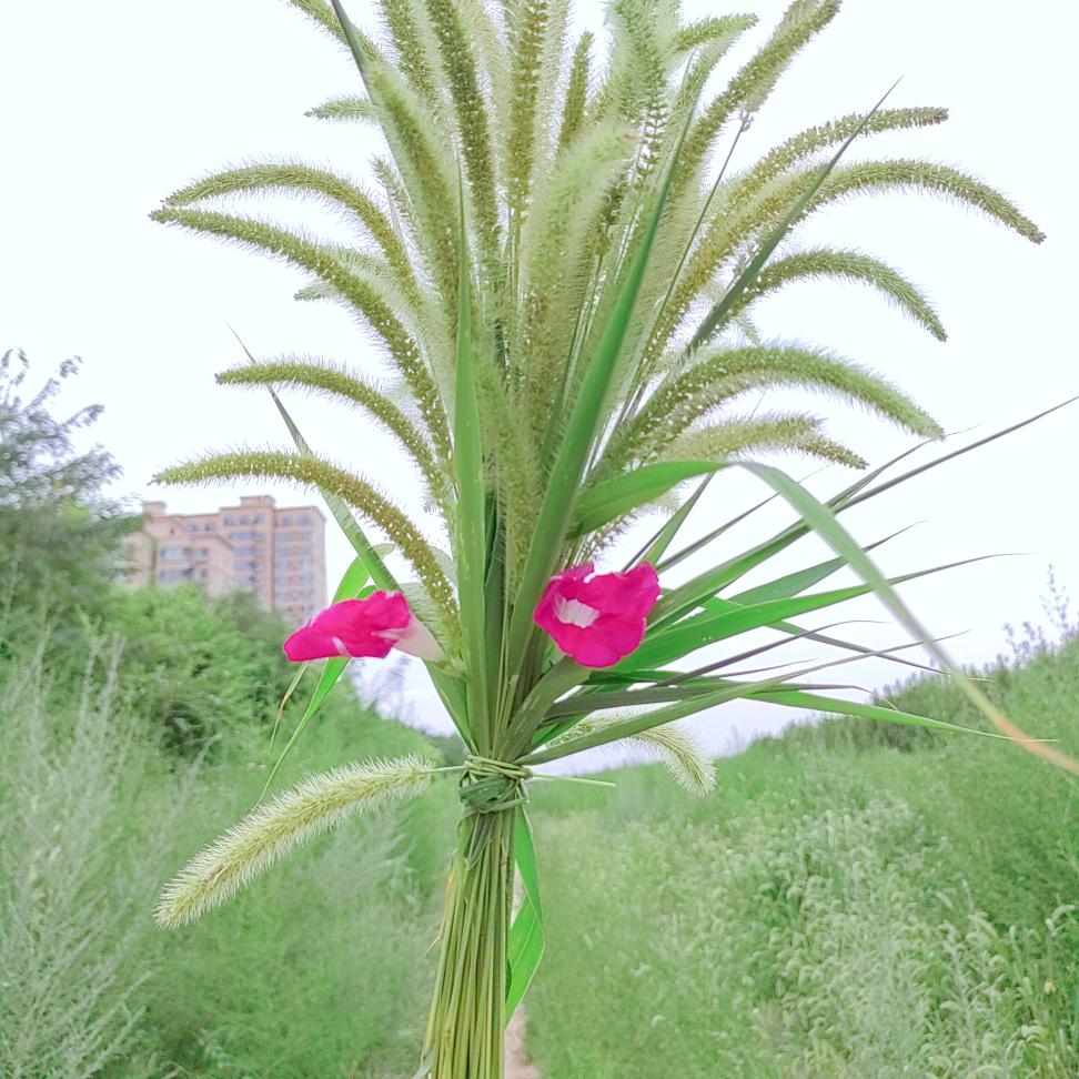 MD_伊一
