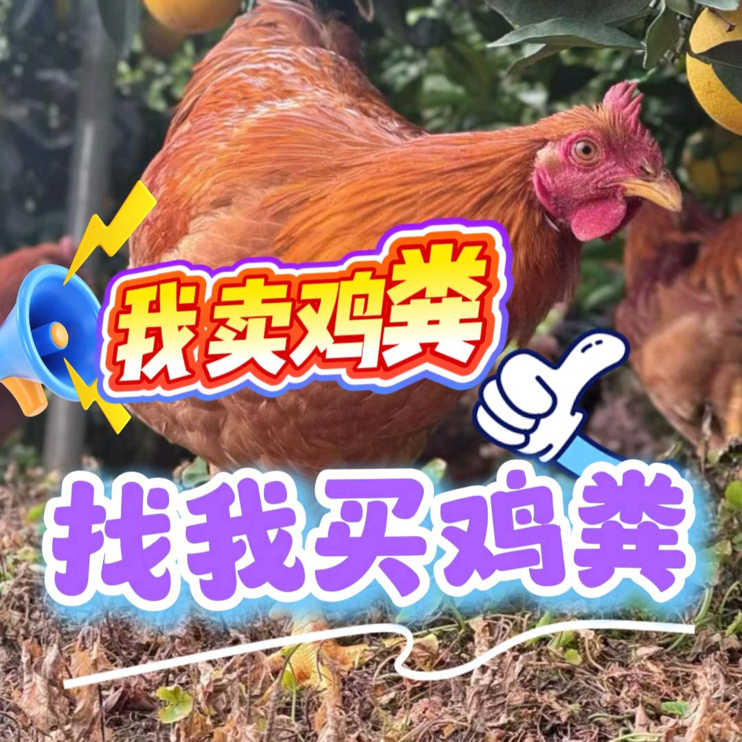 小苹果爱大家点好评🥳🥳