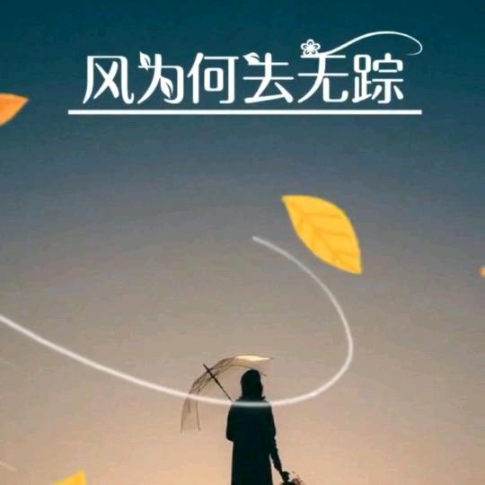 @梦之缘