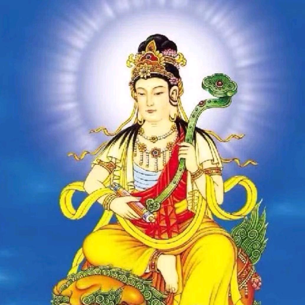 所愿·皆成真