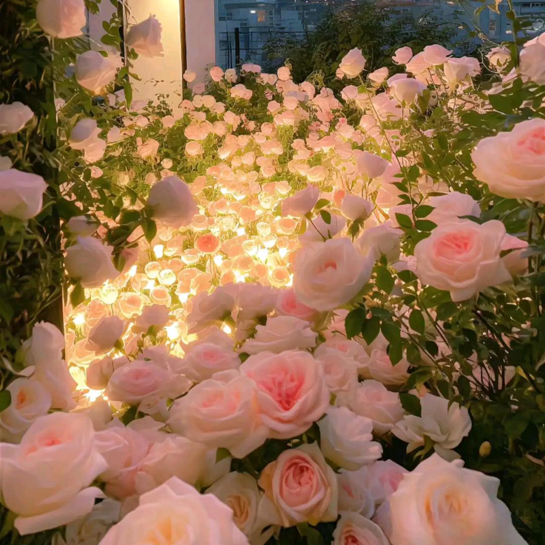 越努力，越幸运《农糖好物》