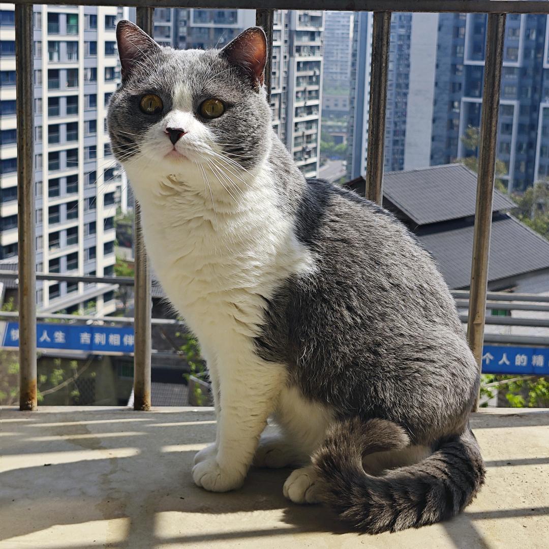 兔子小姐°