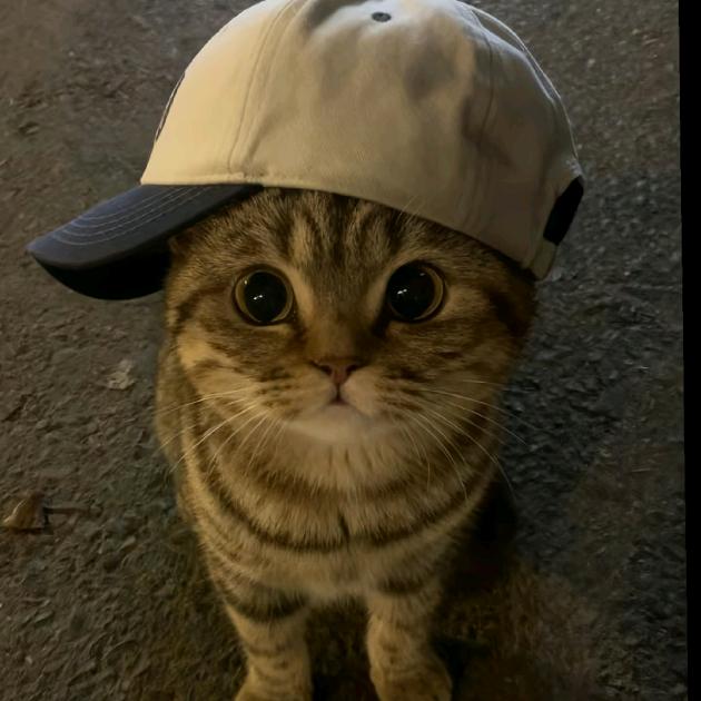 Hᴏᴡ꯭ᴇ꯭ᴠ꯭ᴇ꯭R꯭