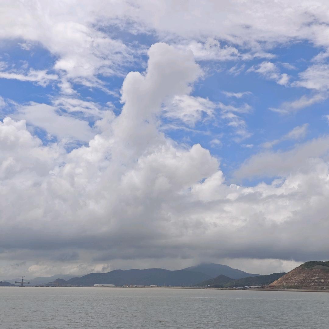 花仙子（好物在橱窗）