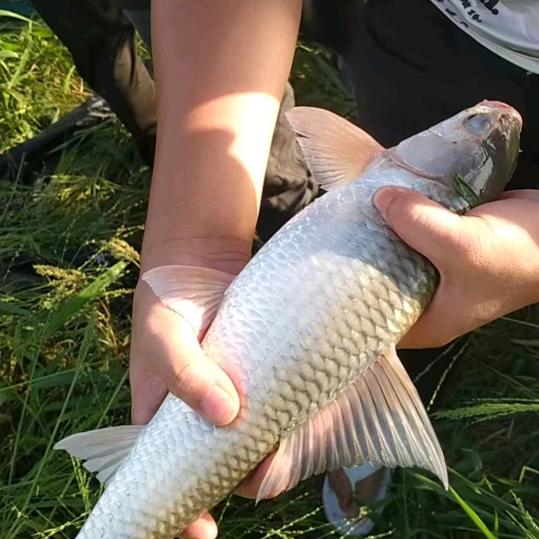 人生就像一场梦。💘💘😭😭