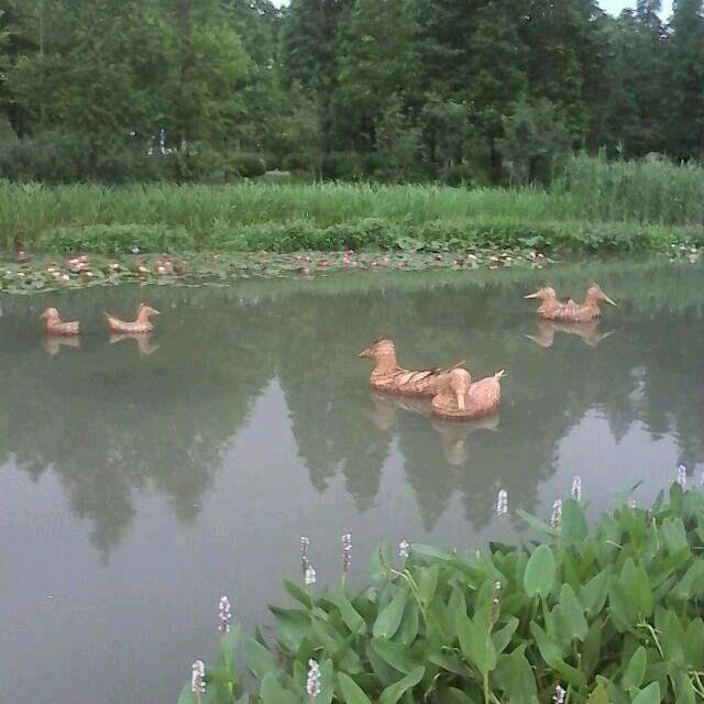 浅念