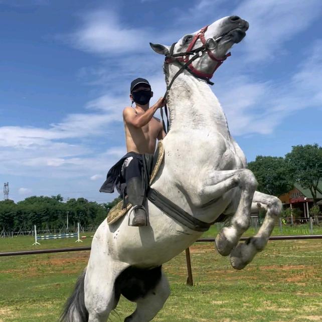 衢州骑马场 无花果种植园