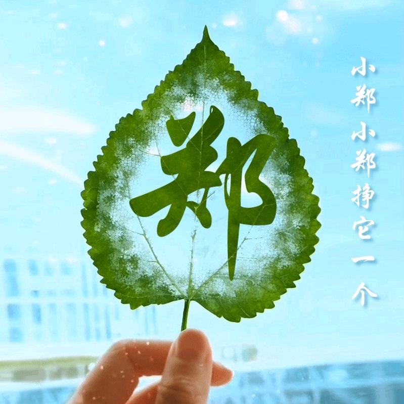 🌼᭄锦鲤ꚸ护体Չ&