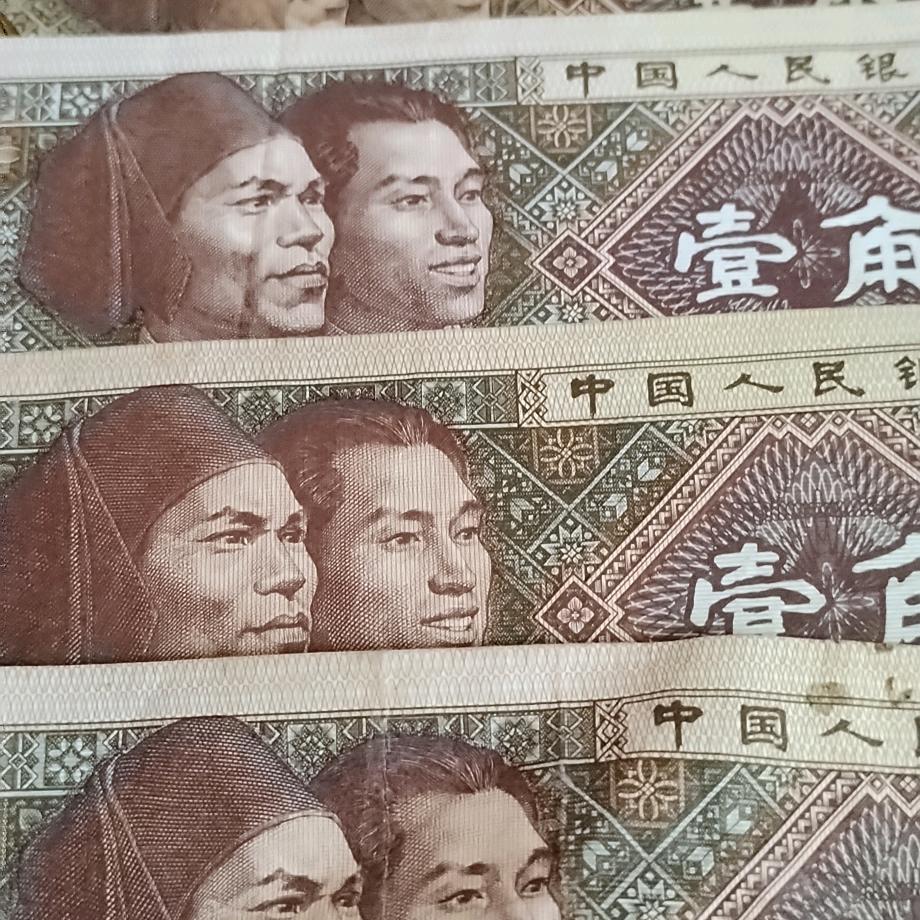 我的命运我做主