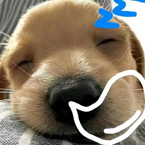 一叶