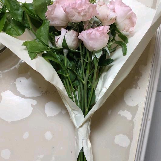 小青菜。