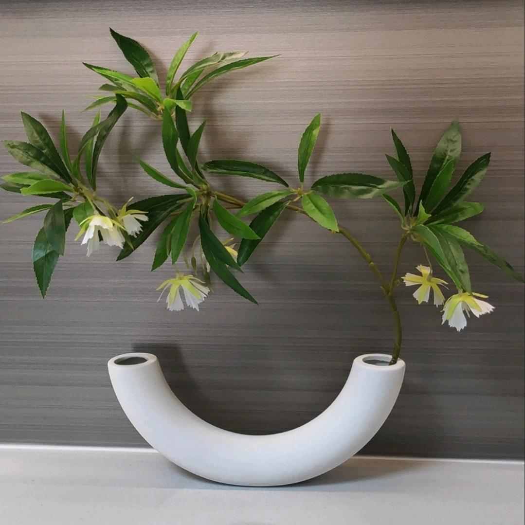 鸢尾花