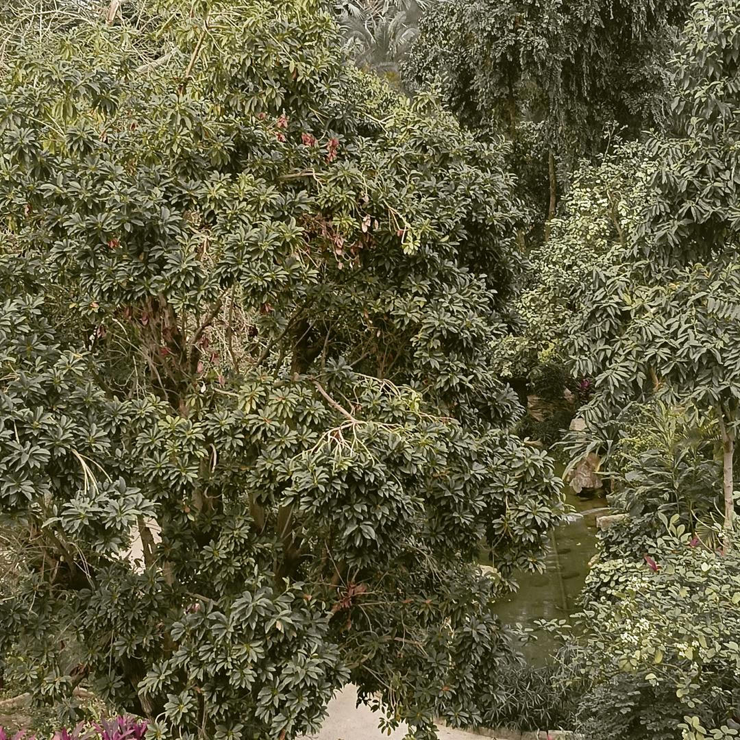 不发脾气，只发财曼曼