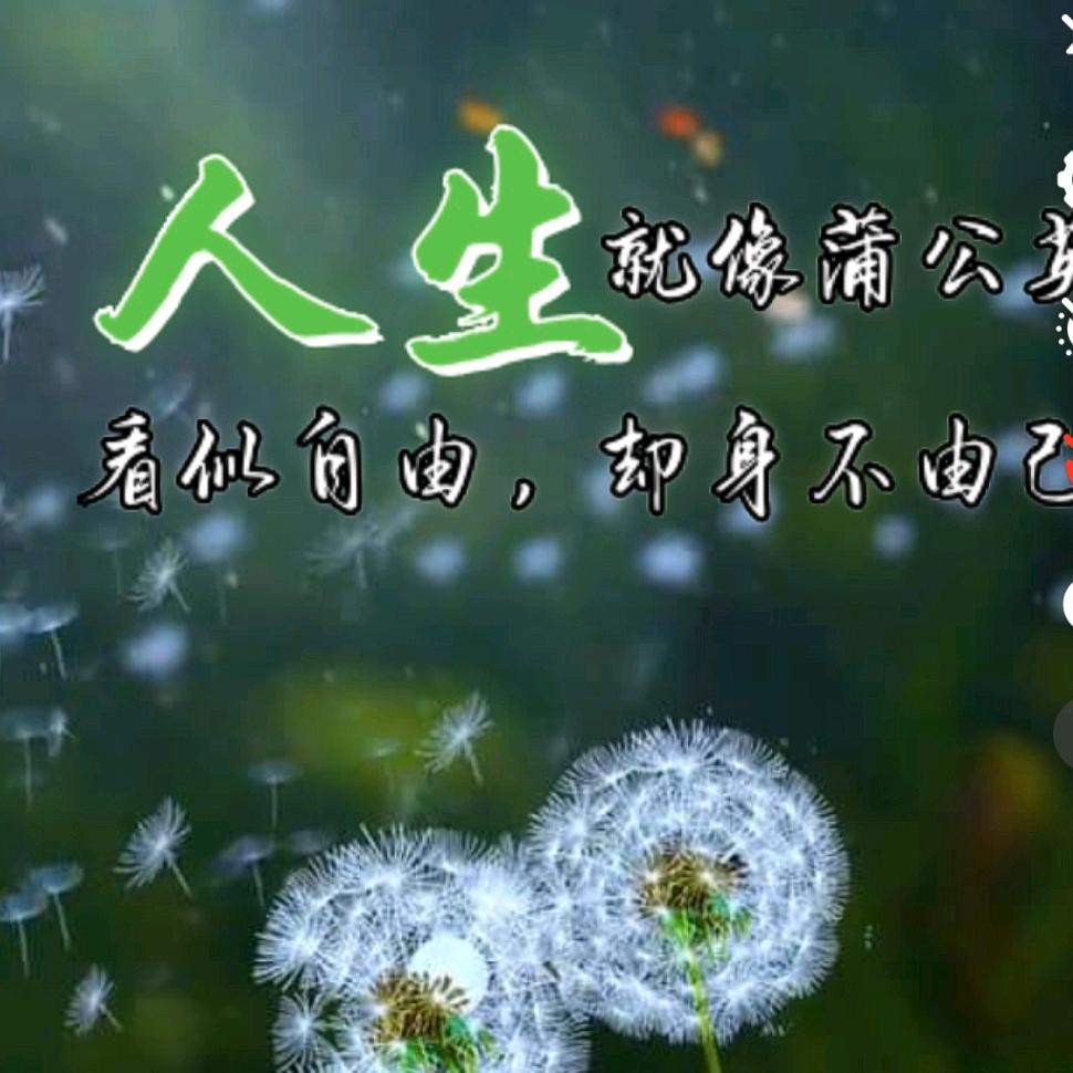 ꦿ࿐封心ღ᭄ꦿ锁爱💞