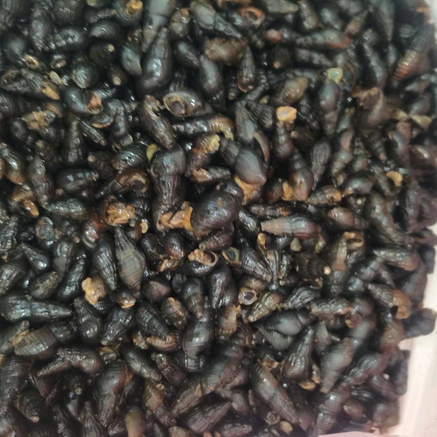 榕城广场闽清土菜馆