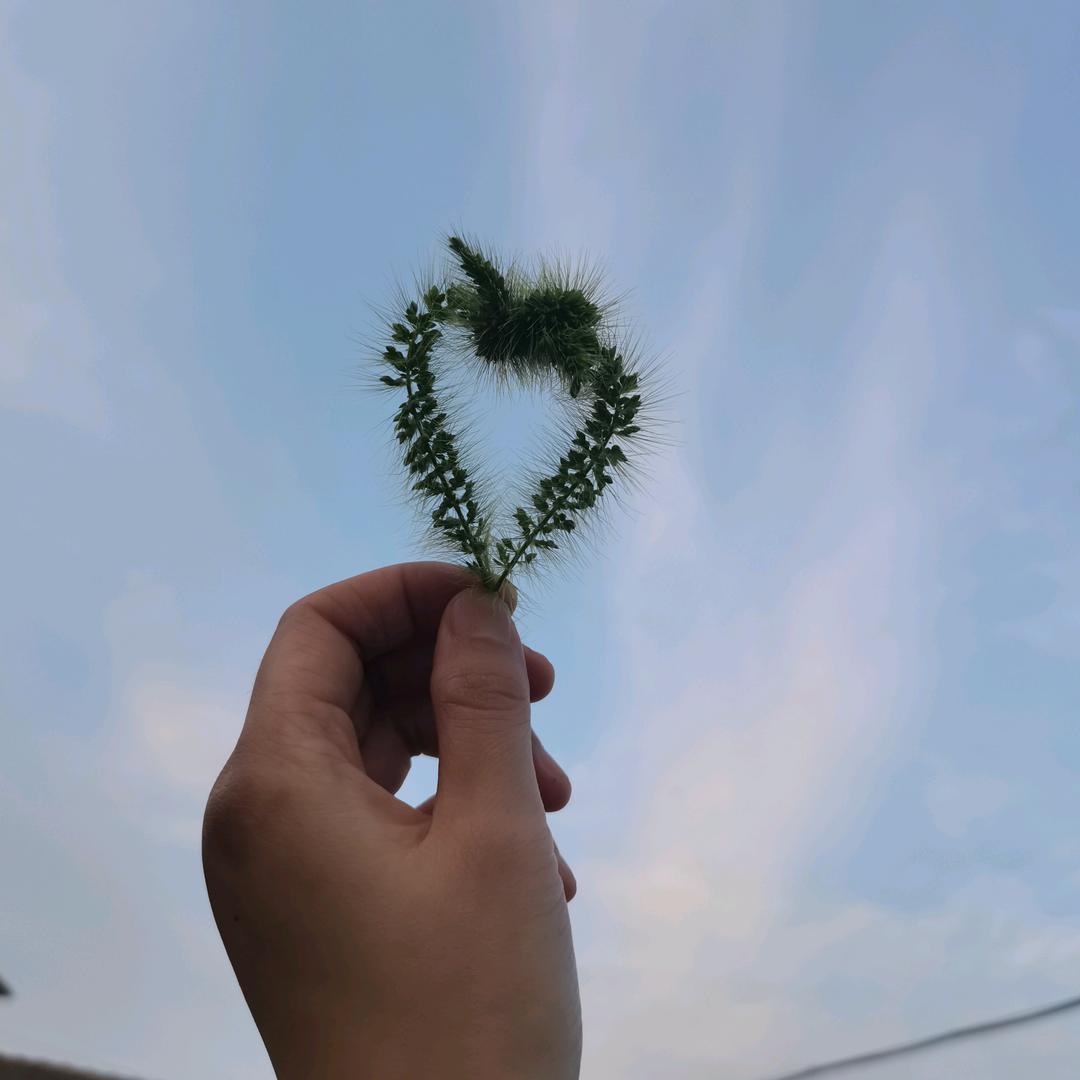 兰欣