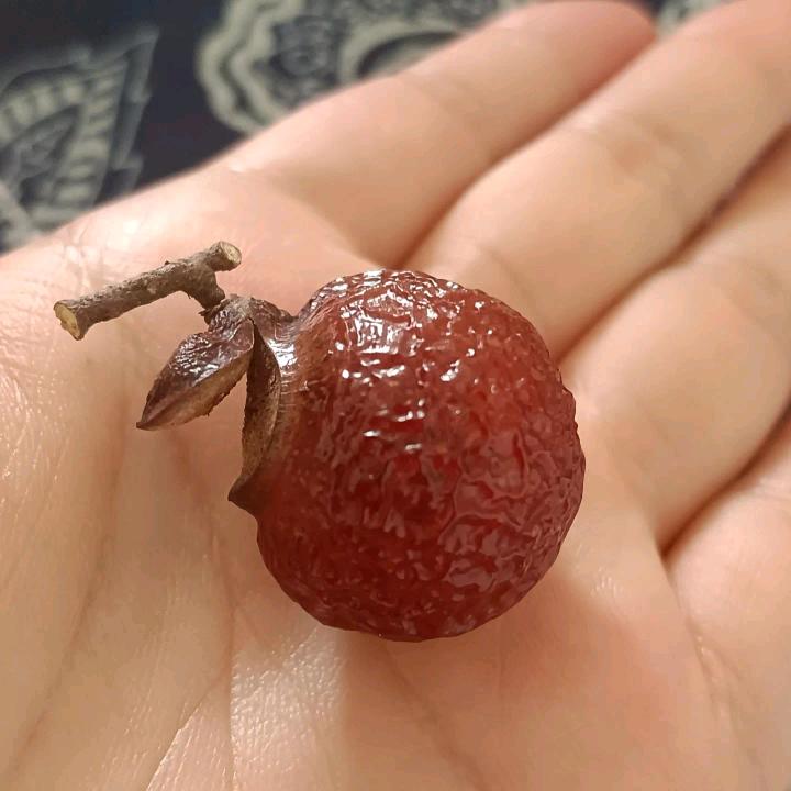 ⊰: 🥀᭄余生随꧔ꦿᩚ心💕