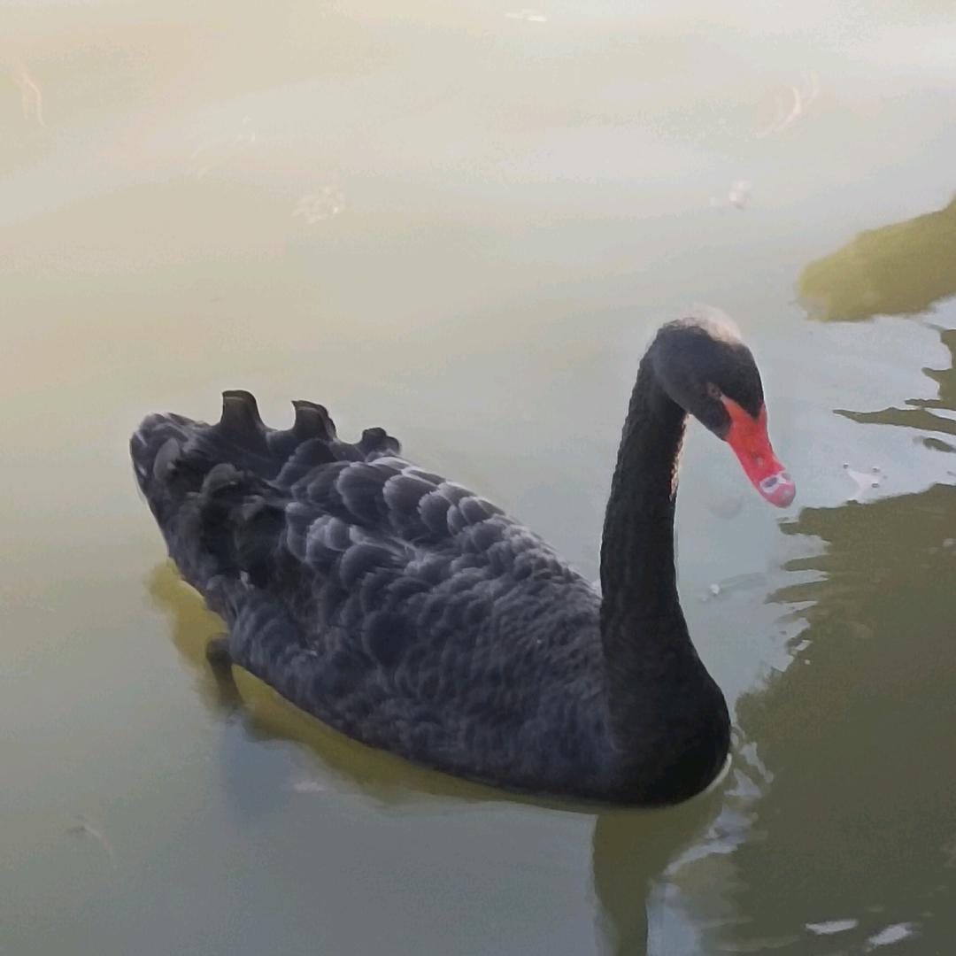 人…………………生