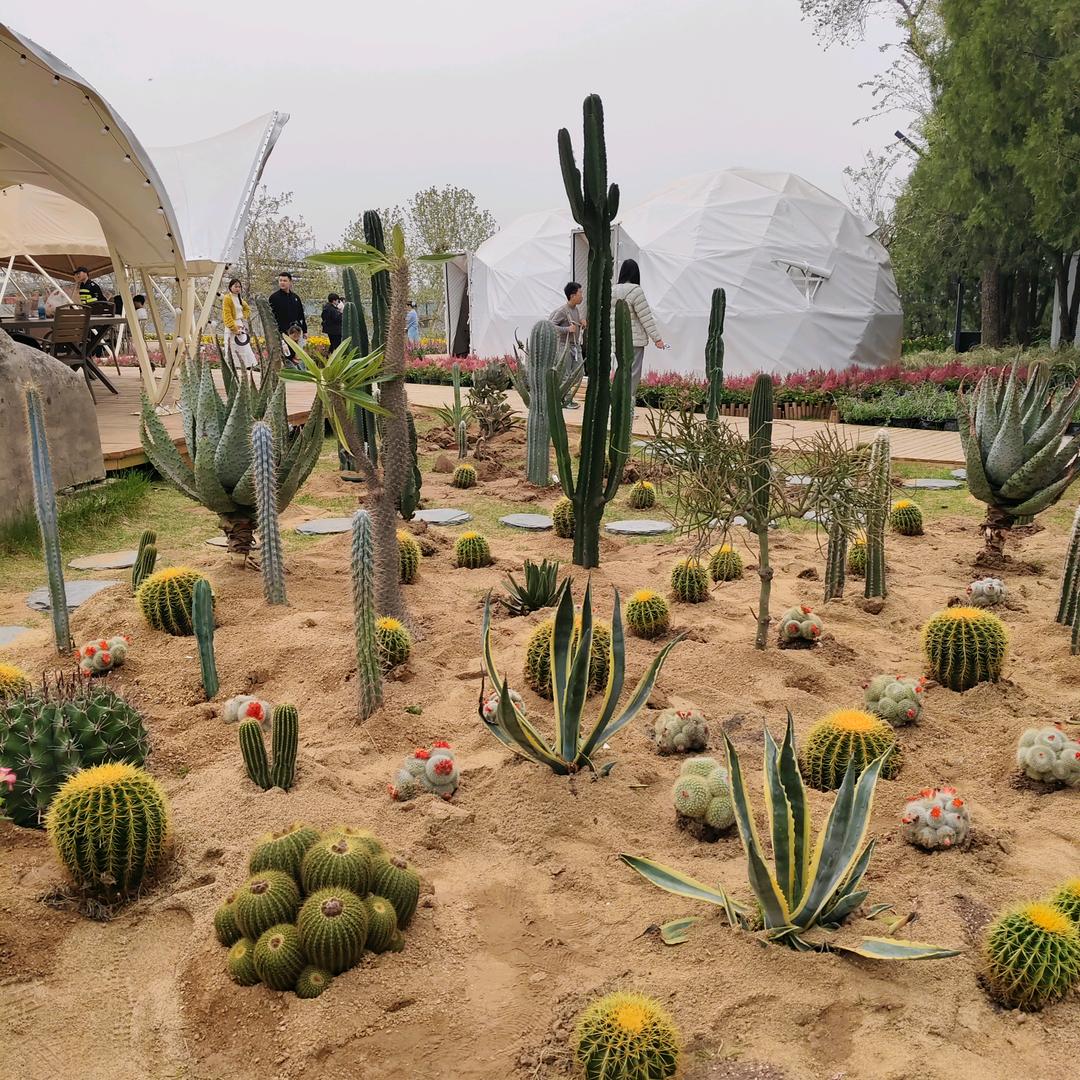 ༄ᐝ暮色千里🌿