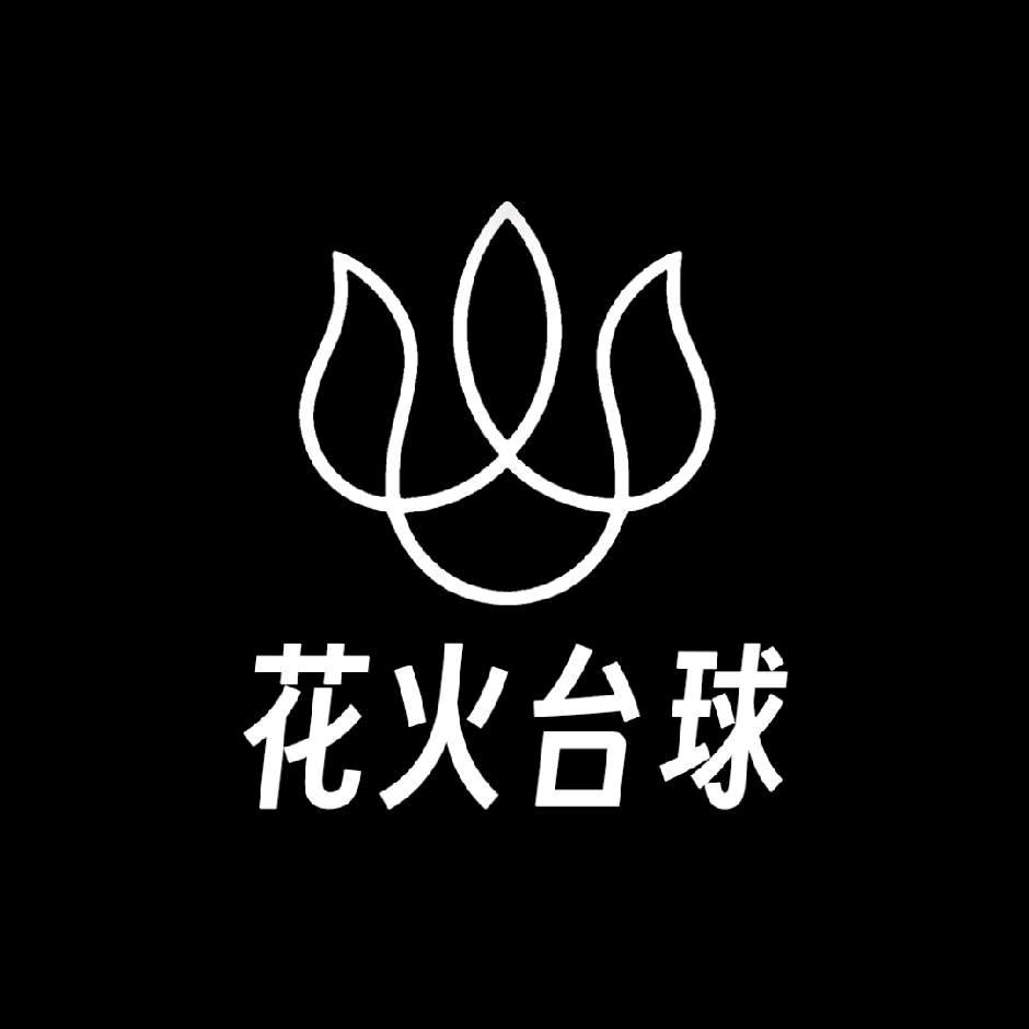 韶山花火台球