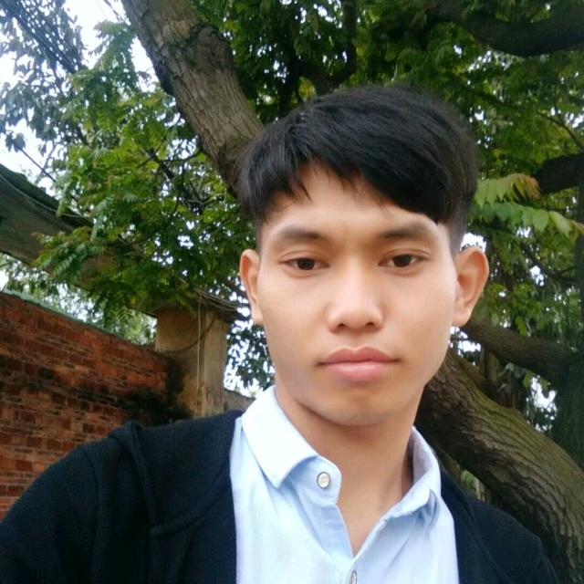 只装饰你的梦