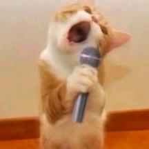 给我碗里丢点钱