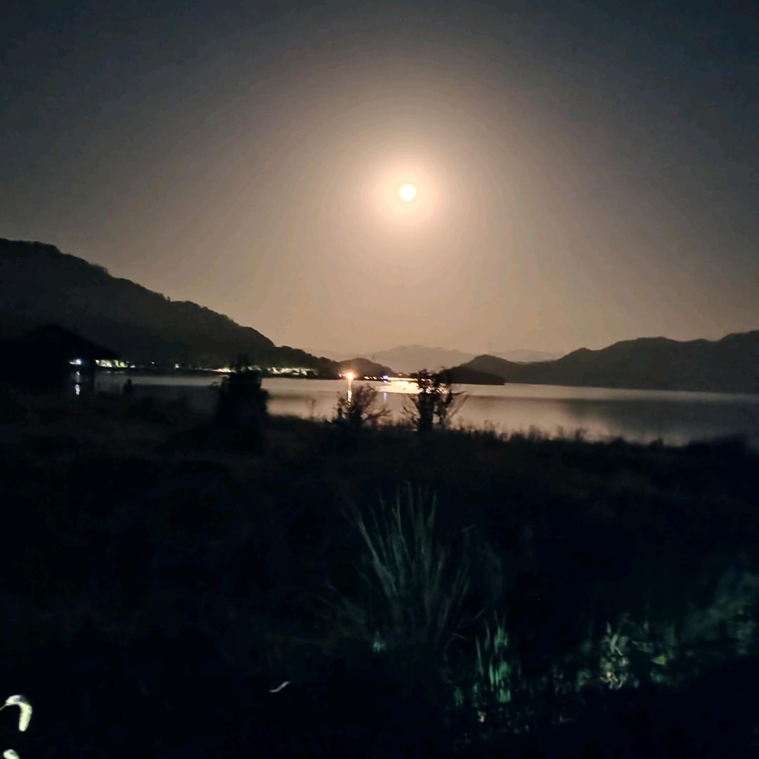 星   河