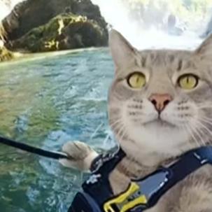 崂山螺号预约报备