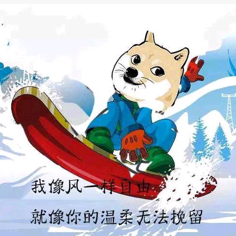 向风一样的自由