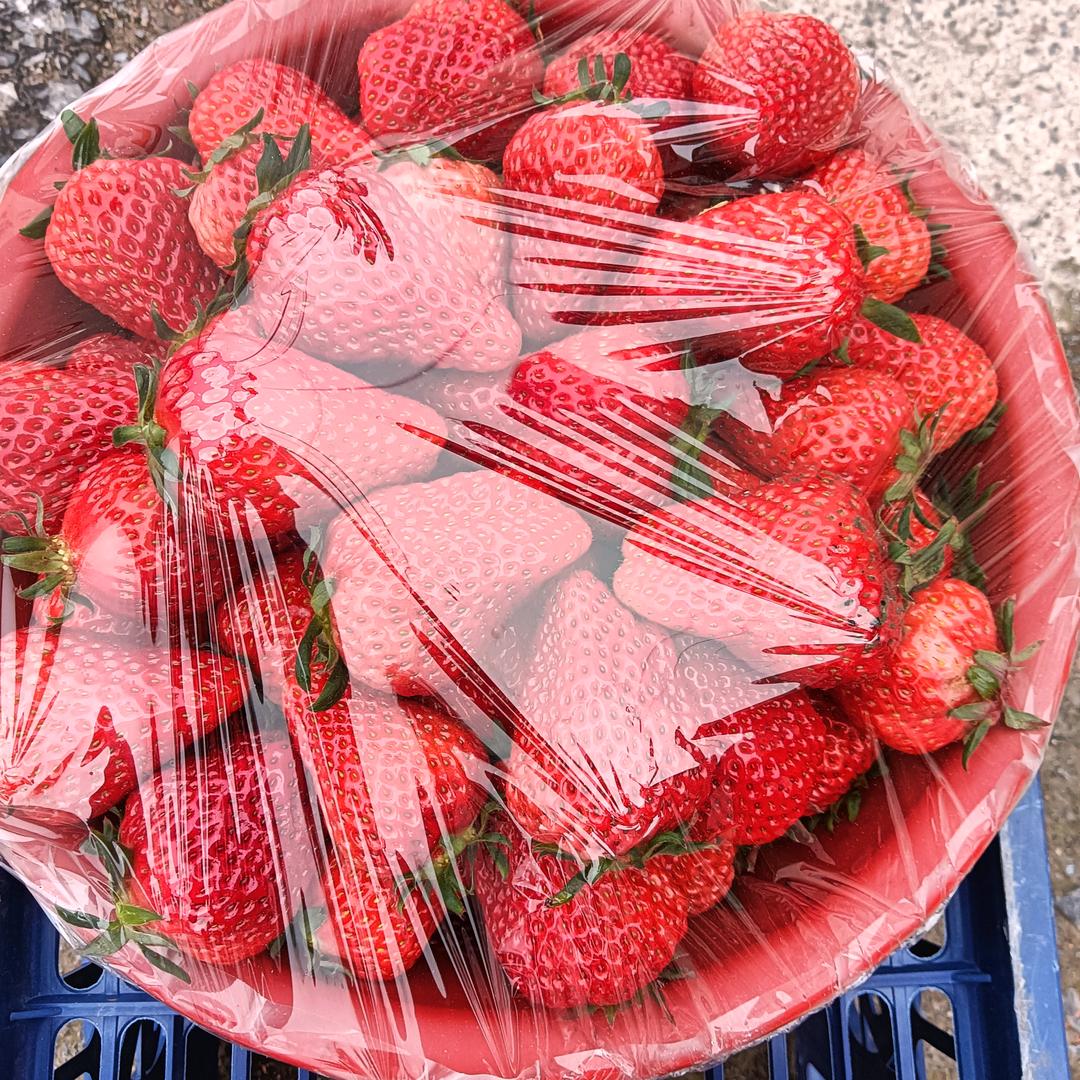 宁果鲜