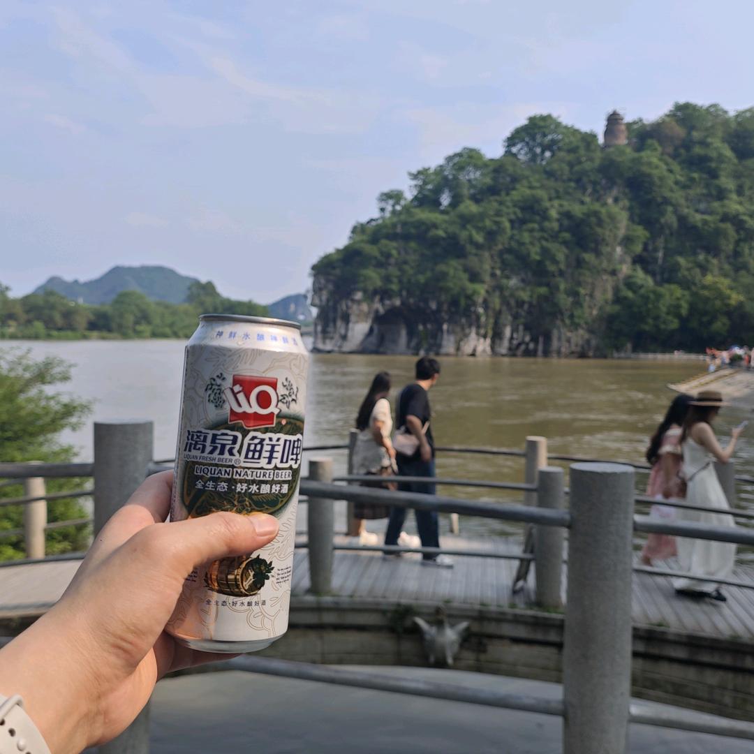 若醉🦄🍺（八方来财版）🎉