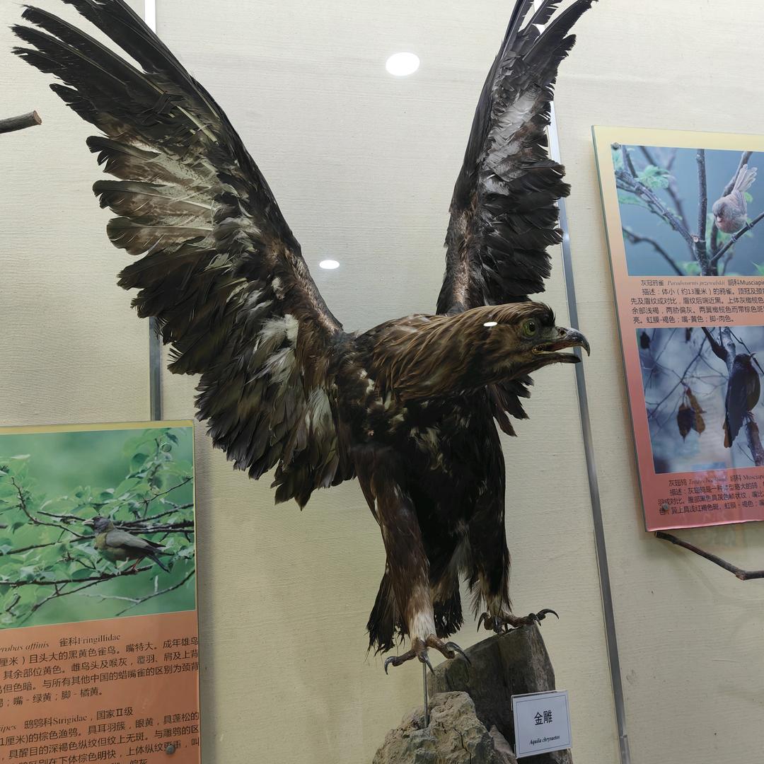 糖宝🐛🐛🐛🐛