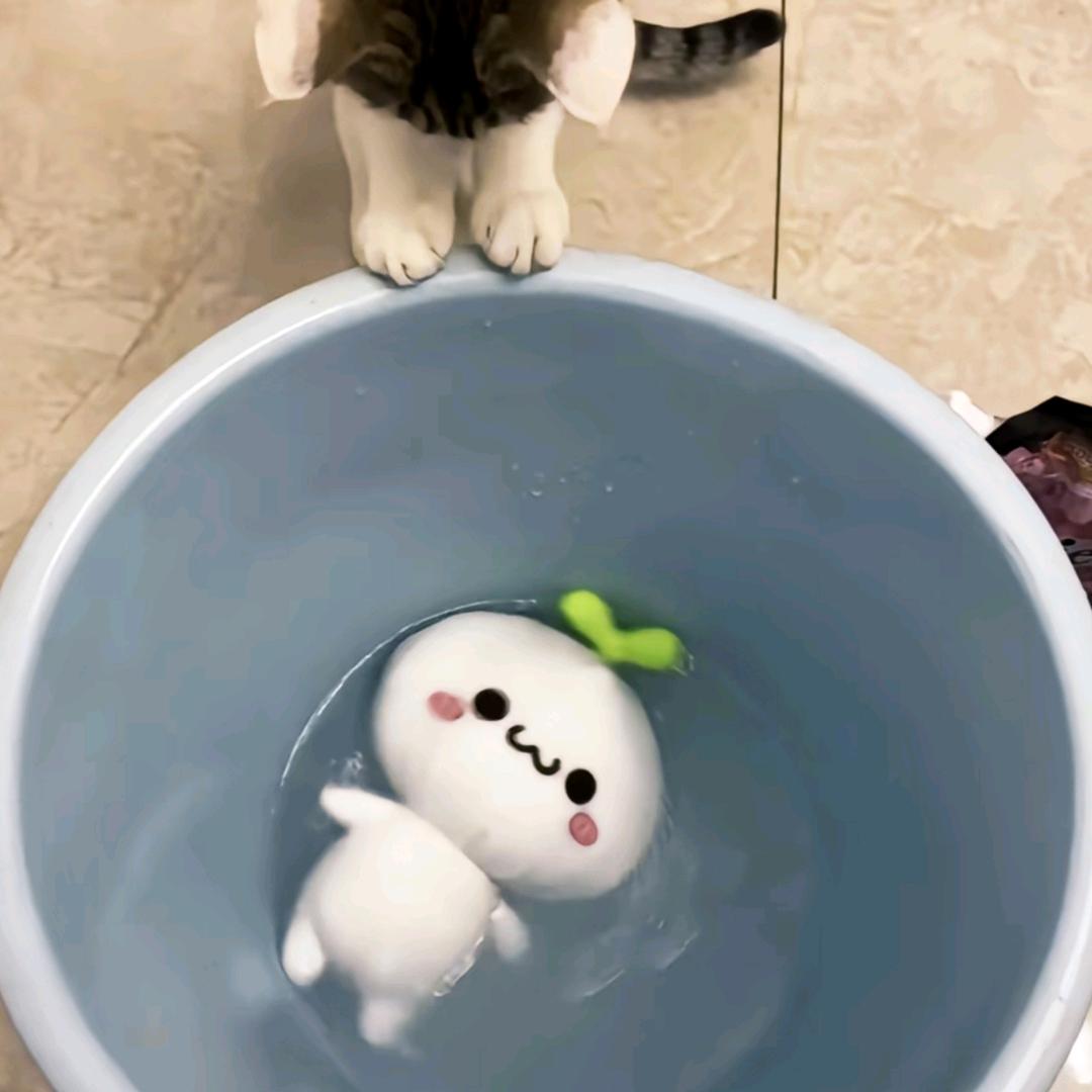 我的男朋友好可爱