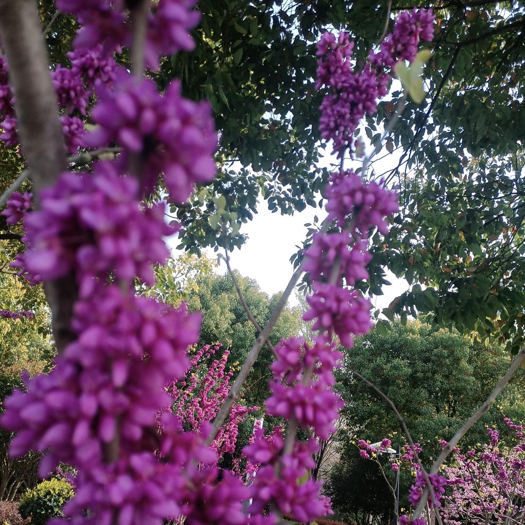 秋雨❤