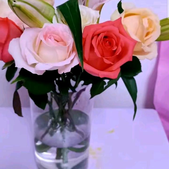 玫瑰花