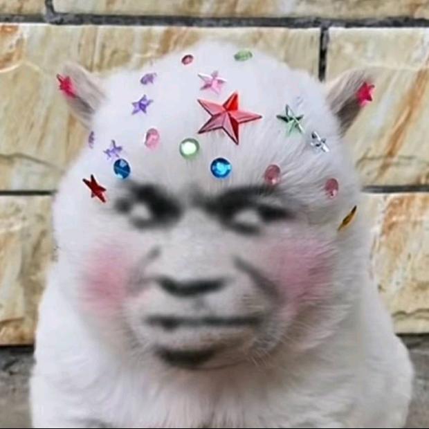 乐子哈哈哈