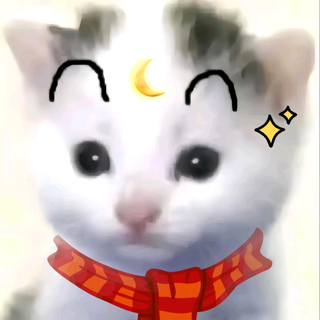 猫meme生活日记