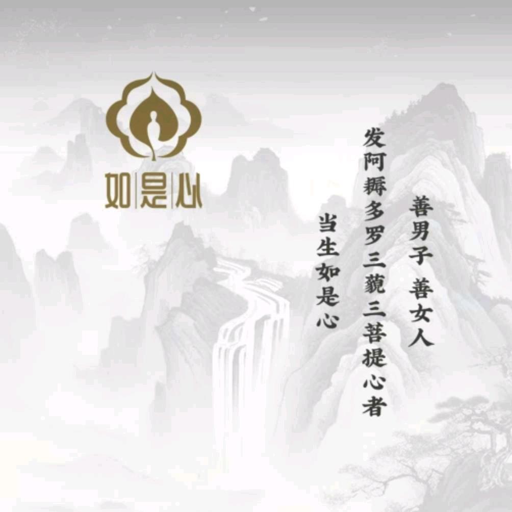 一杯茶的缘份
