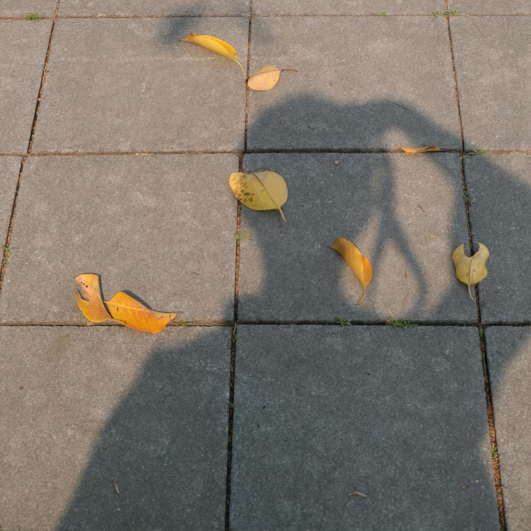 远航一号📸(深圳拍照)