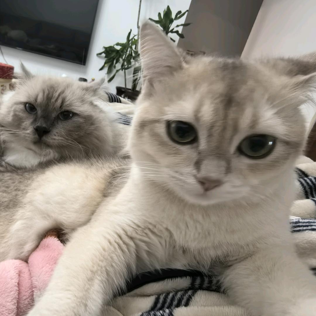 正在加载用户名