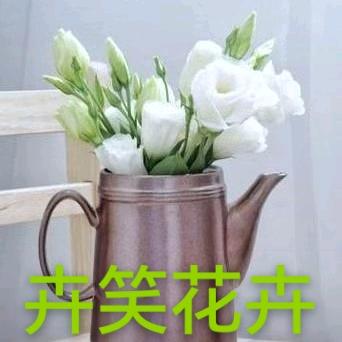 卉笑元宝（卖花的小姐姐）