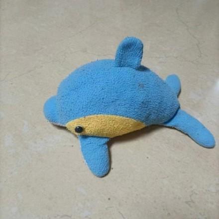 小海豚游戏