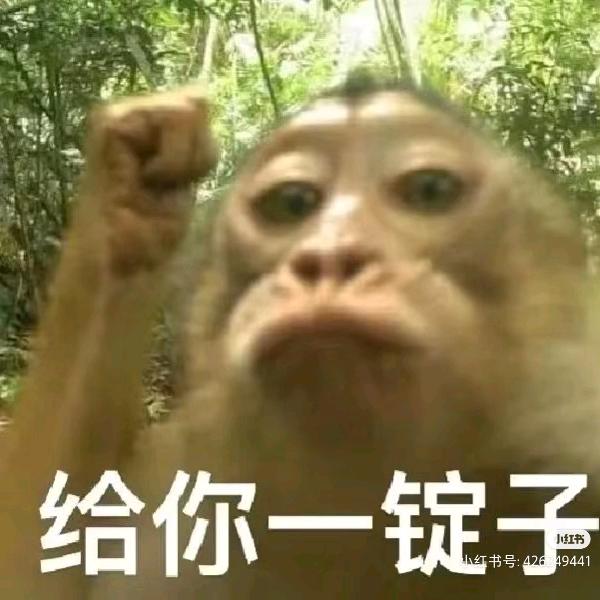 虾仁不眨眼°