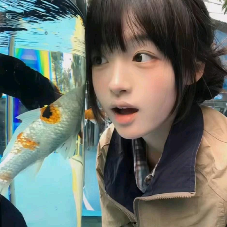 食言专家