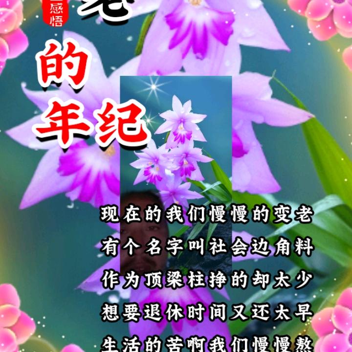 强哥我要打拼每一分钟（纪俊富）