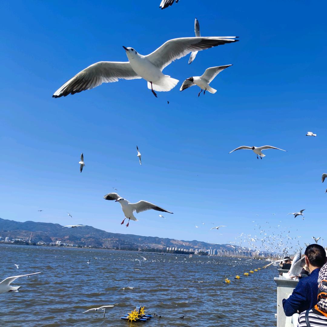 郭昌盛老师升学规划