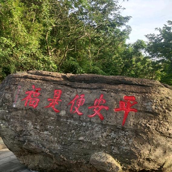 漂泊