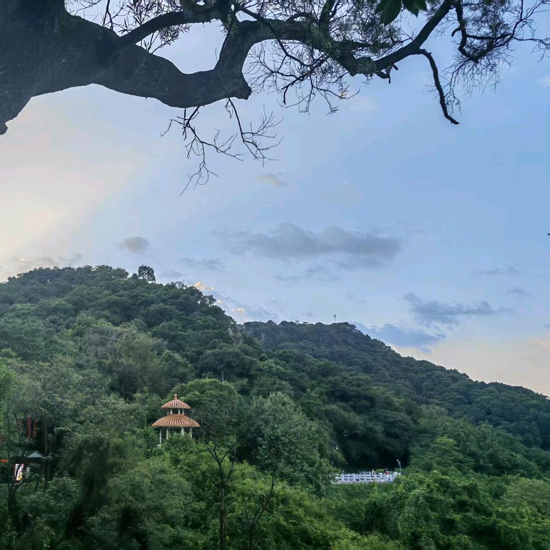 万里归途🤖