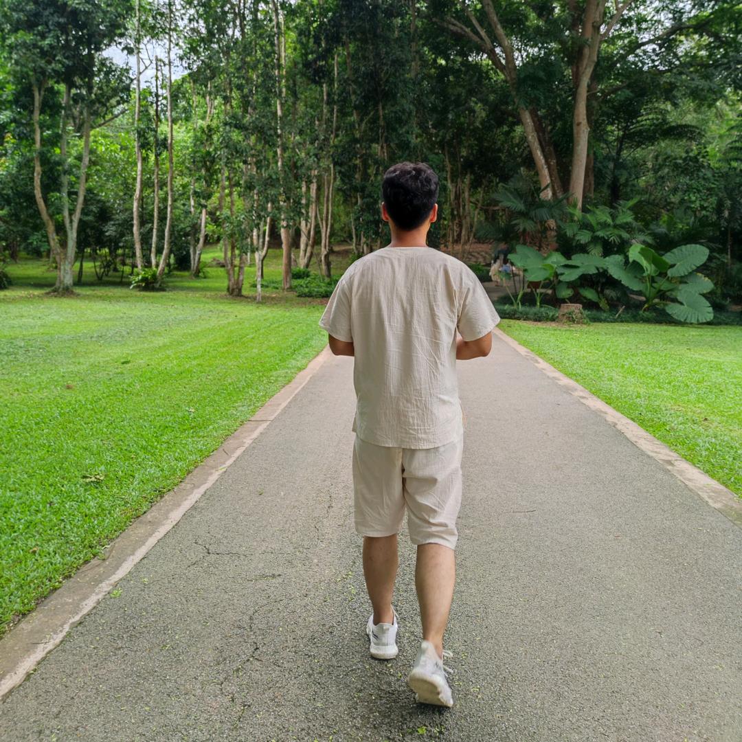 羊洋洋