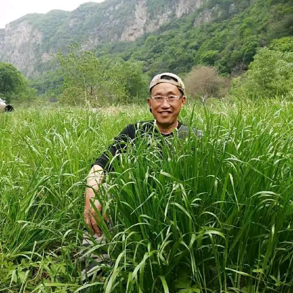 游山玩水
